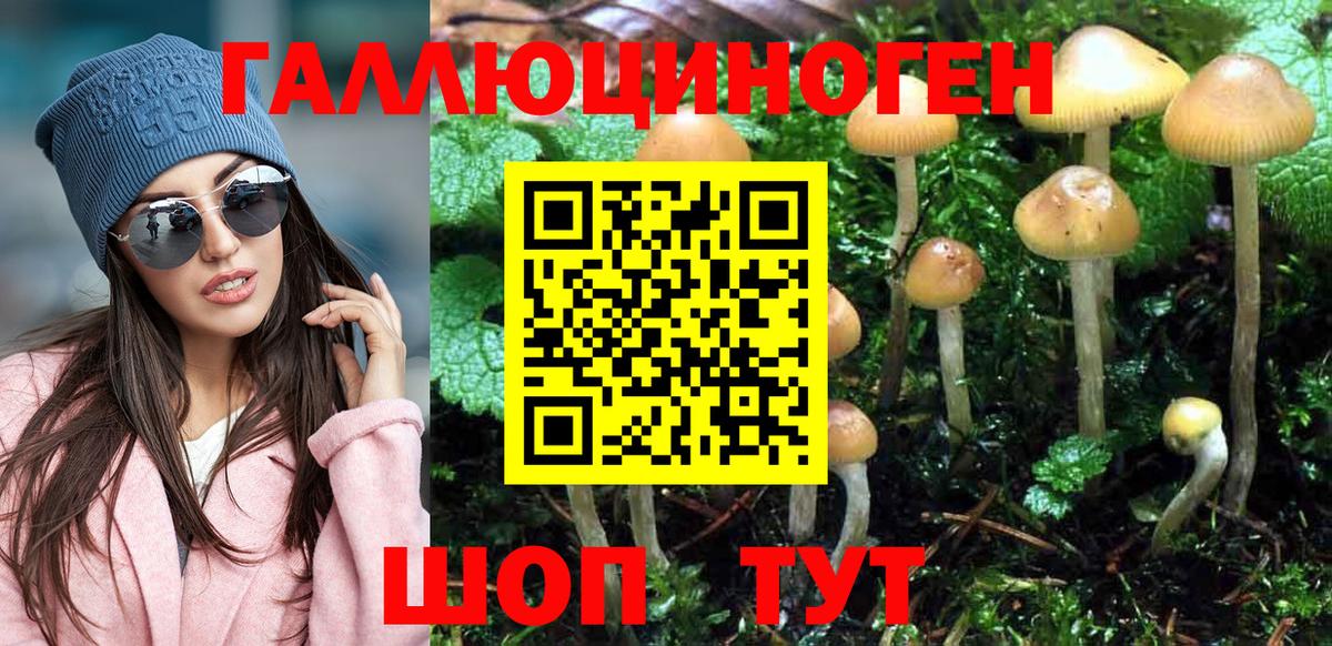 Старая Купавна  Галлюциногенные грибы GOLDEN TEACHER  Вход с VPN 